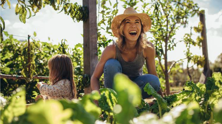 Estilo de vida sustentable en 2026: minimalismo, consumo consciente y eco-hábitos